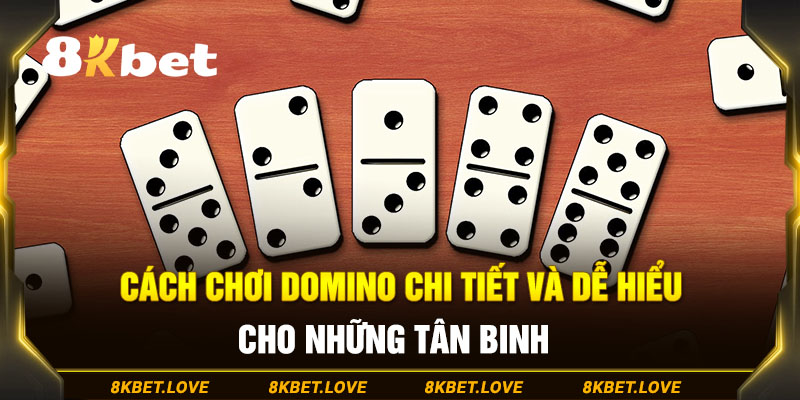 Cách Chơi Domino Đơn Giản Và Dễ Hiểu Cho Những Tân Binh