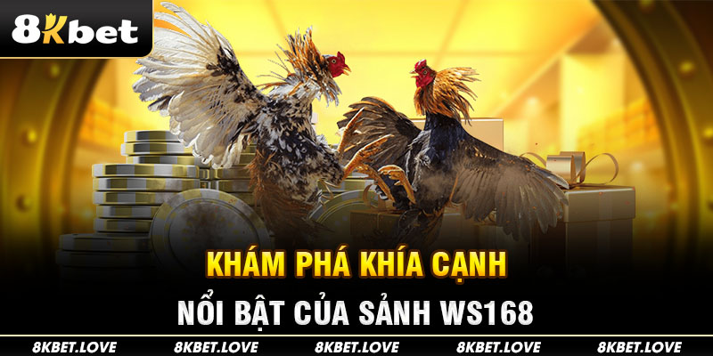 WS168 - Sân chơi đá gà ấn tượng xuất hiện tại 8Kbet